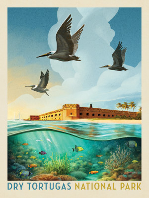 Dry Tortugas National Park: Reef View