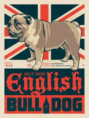 English Bulldog