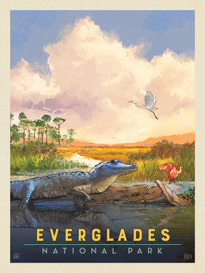 Everglades National Park: Sunbathing