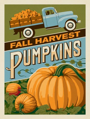 Fall Harvest Pumpkins
