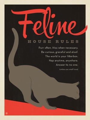 Feline House Rules