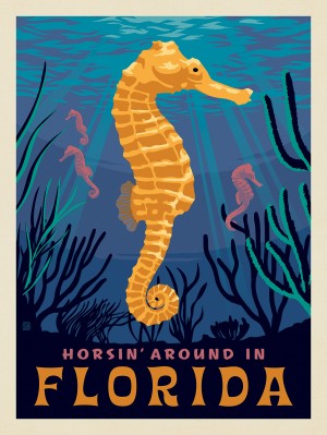 Florida: Seahorse