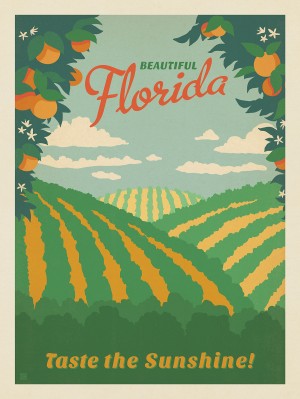 Florida: Taste The Sunshine!