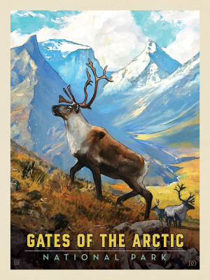 Gates of the Arctic National Park: Caribou