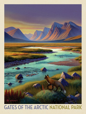 Gates Of The Arctic National Park: Twilight Fox