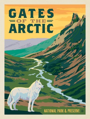 Gates of the Arctic National Park: Wolf