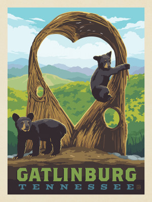 Gatlinburg, Tennessee: Anakeesta Twigloo Cubs