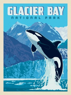 Glacier Bay National Park: Leaping Orca