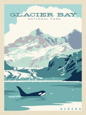 Glacier Bay National Park: Orca