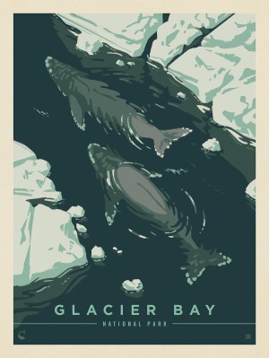 Glacier Bay National Park: Whale Watching