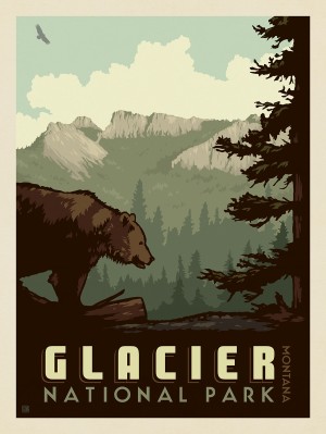 Glacier National Park: Bear