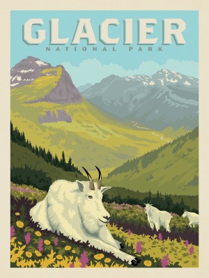 Glacier National Park: Goats In The Valley