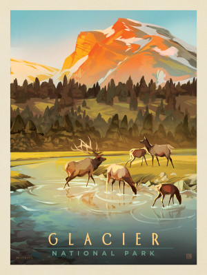 Glacier National Park: Happy Herd