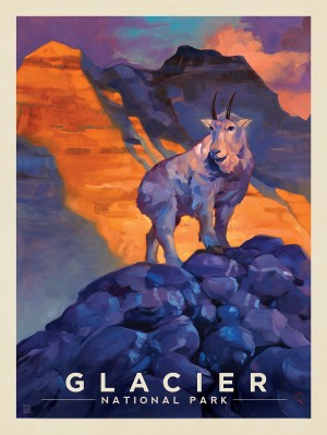 Glacier National Park: Mountain Goat-KC