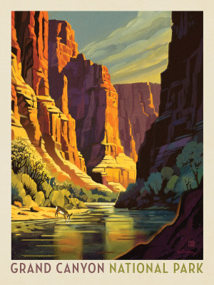 Grand Canyon National Park: Refreshing Shade