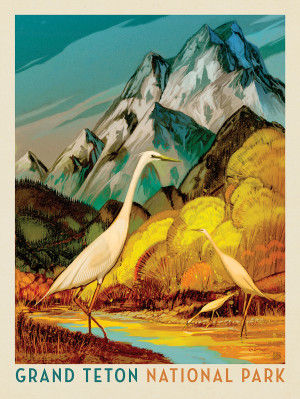 Grand Teton National Park: Autumn Glory