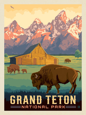 Grand Teton National Park: Bison & Barn