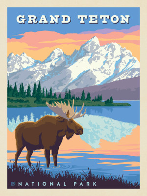 Grand Teton National Park: Bull Moose