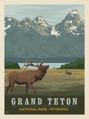 Grand Teton National Park: Elk