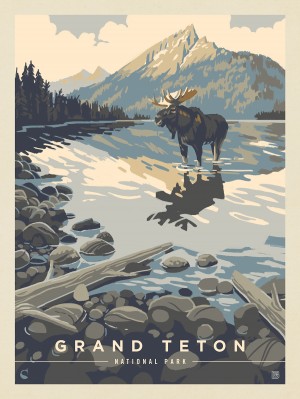 Grand Teton National Park: Meandering Moose