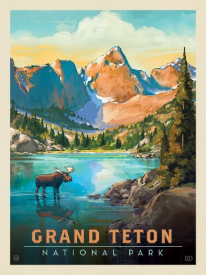 Grand Teton National Park: Moose