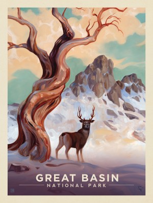 Great Basin National Park: Bristlecone Pine