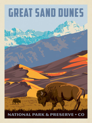 Great Sand Dunes National Park: Bison