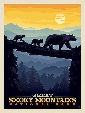Great Smoky Mountains: Bear Crossing at Sunset