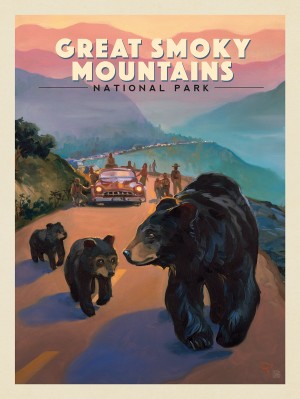 Great Smoky Mountains National Park: Bear Jam-KC