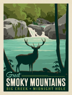 Great Smoky Mountains National Park: Big Creek