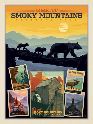 Great Smoky Mountains National Park: Collage Print