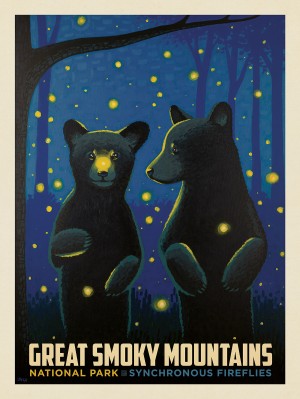 Great Smoky Mountains National Park: Firefly Cubs