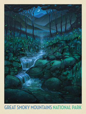 Great Smoky Mountains National Park: Firefly Magic