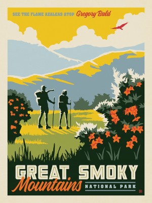 Great Smoky Mountains National Park: Gregory Bald