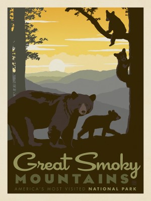 Great Smoky Mountains National Park: Mama Bear & Cubs