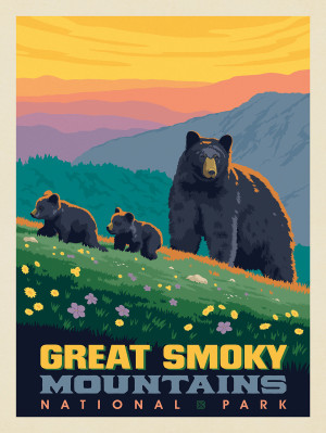 Great Smoky Mountains National Park: Romping Cubs