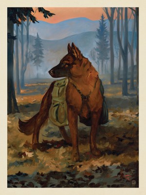 Great Smoky Mountains National Park: Smoky Jack-KC