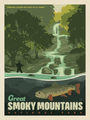 Great Smoky Mountains National Park: Speckled Trout