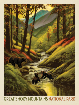 Great Smoky Mountains National Park: Splashing Cubs