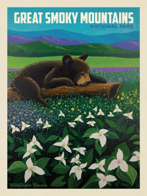 Great Smoky Mountains National Park: Wildflower Heaven