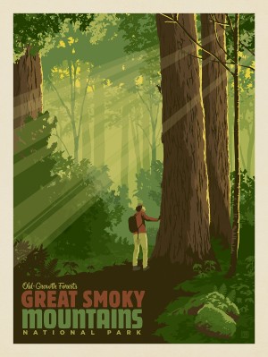 Great Smoky Mountains National Park: Old-Growth Forests