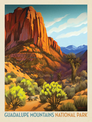 Guadalupe Mountains National Park: Armadillo Crossing