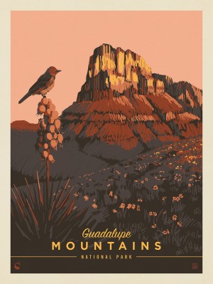 Guadalupe Mountains National Park: Early Bird