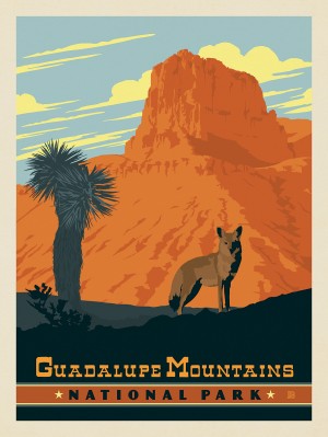 Guadalupe Mountains National Park, TX