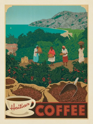 Haitian Coffee