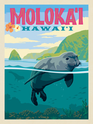 Hawaii: Moloka'i (Monk Seal)