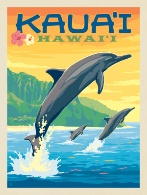 Hawaii: Kaua'i (Dolphins)