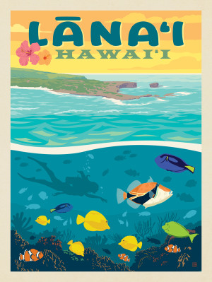 Hawaii: Lānaʻi (Tropical Fish)