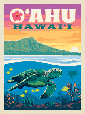 Hawaii: O'ahu (Sea Turtle)