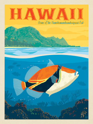 Hawaii: Reef Triggerfish